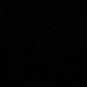 Meet your Posher, Malia